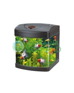 X CUBE LT.26